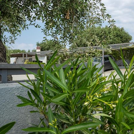 אואוראנואופולי Villa Almira Luxury Apartments מראה חיצוני תמונה
